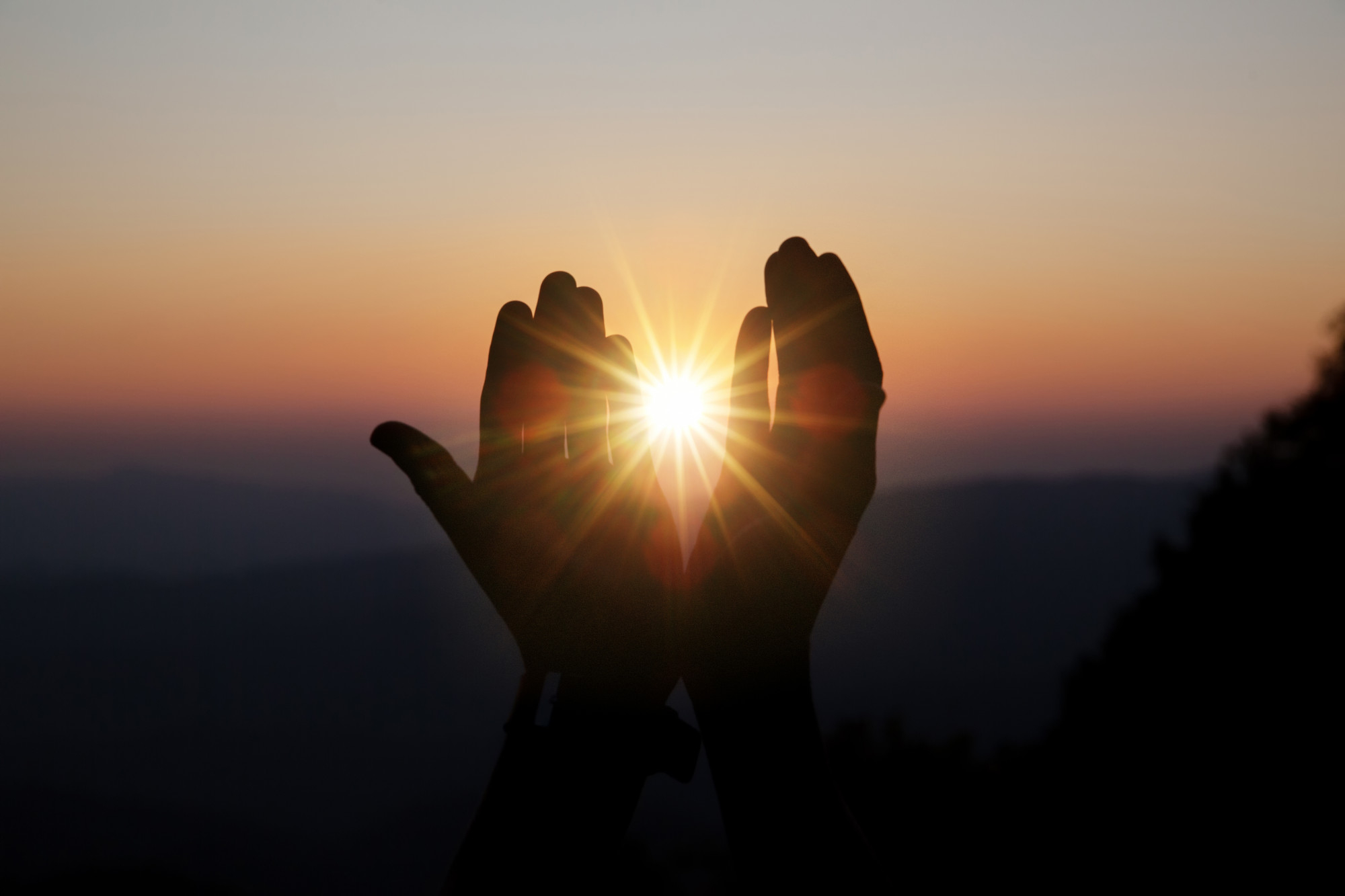 Presence, Contact and Mindfulness in Psychotherapy